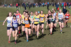 Senior womens 2019 British Athletics Inter Counties Cross Country, Prestwood Hall, Loughborough. Photo:  David T. Hewitson/Sports for All Pics